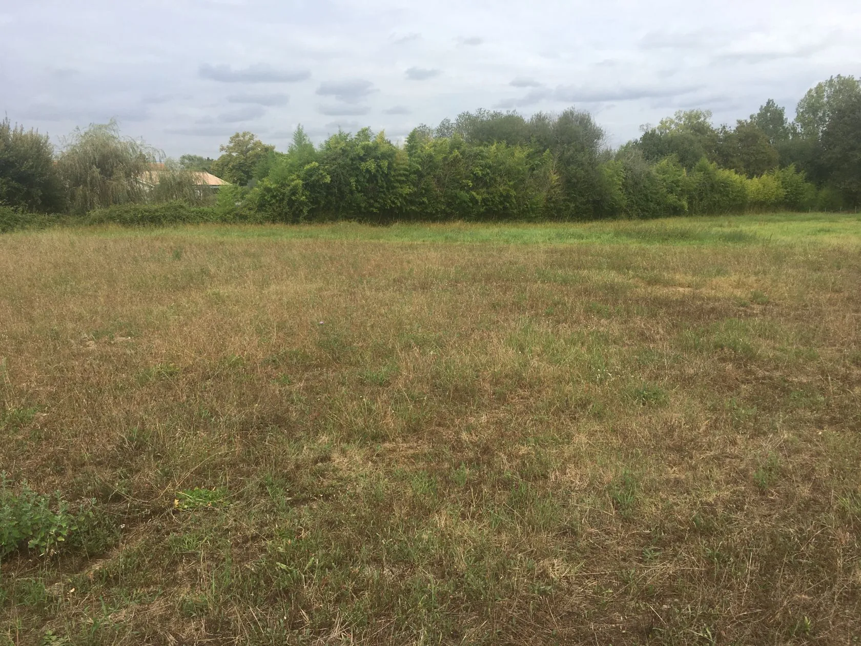 Maison neuve 90 m² à Prignac-et-Marcamps (33710)