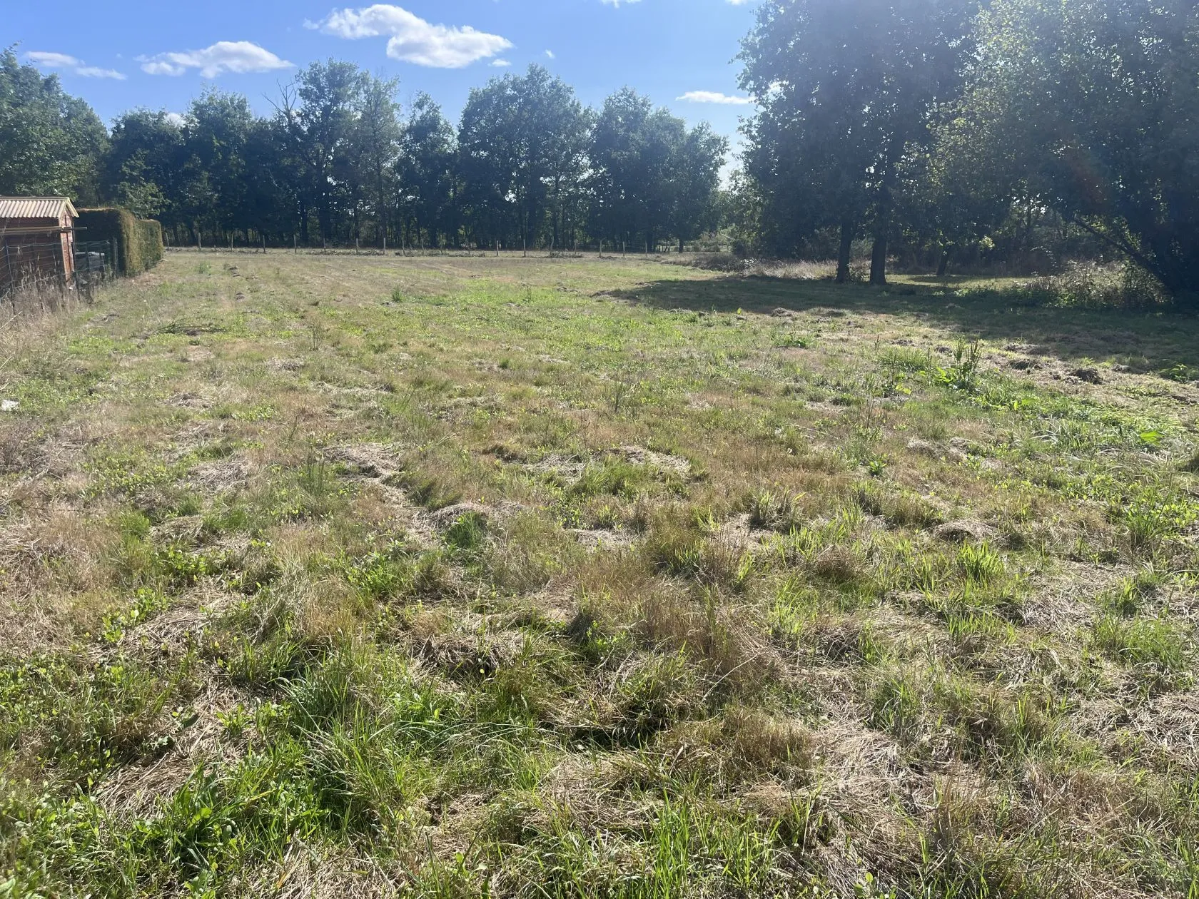 Maison neuve 72 m² à Saint-André-de-Cubzac (33240)