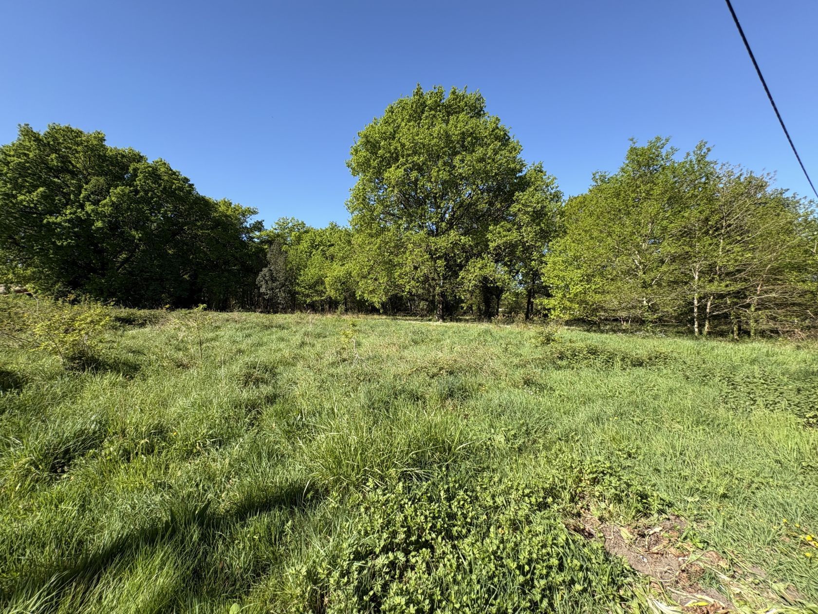 Terrain à bâtir 1909 m² à Castelnau-de-Médoc (33480)