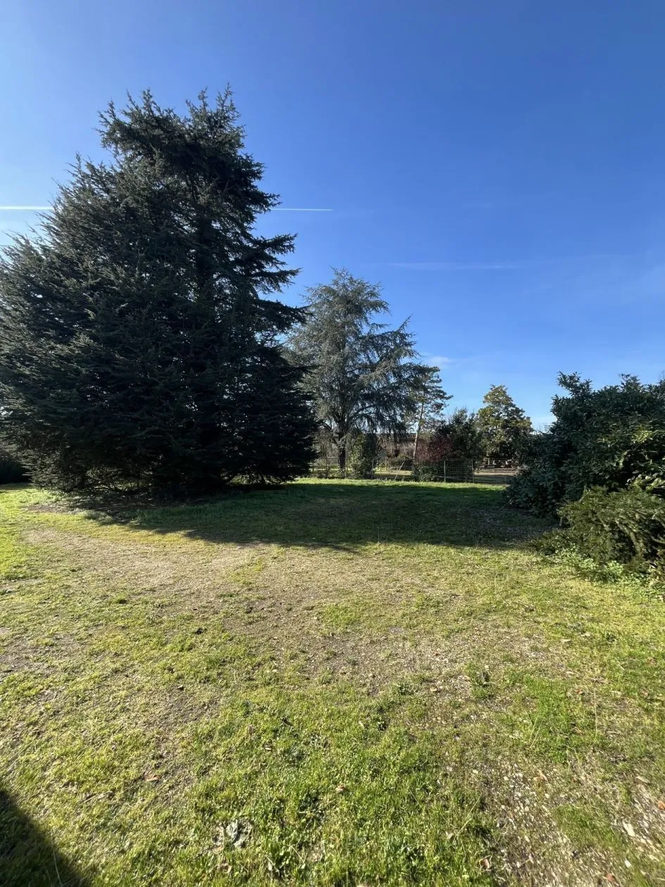 Maison neuve 60 m² à Cadaujac (33140)