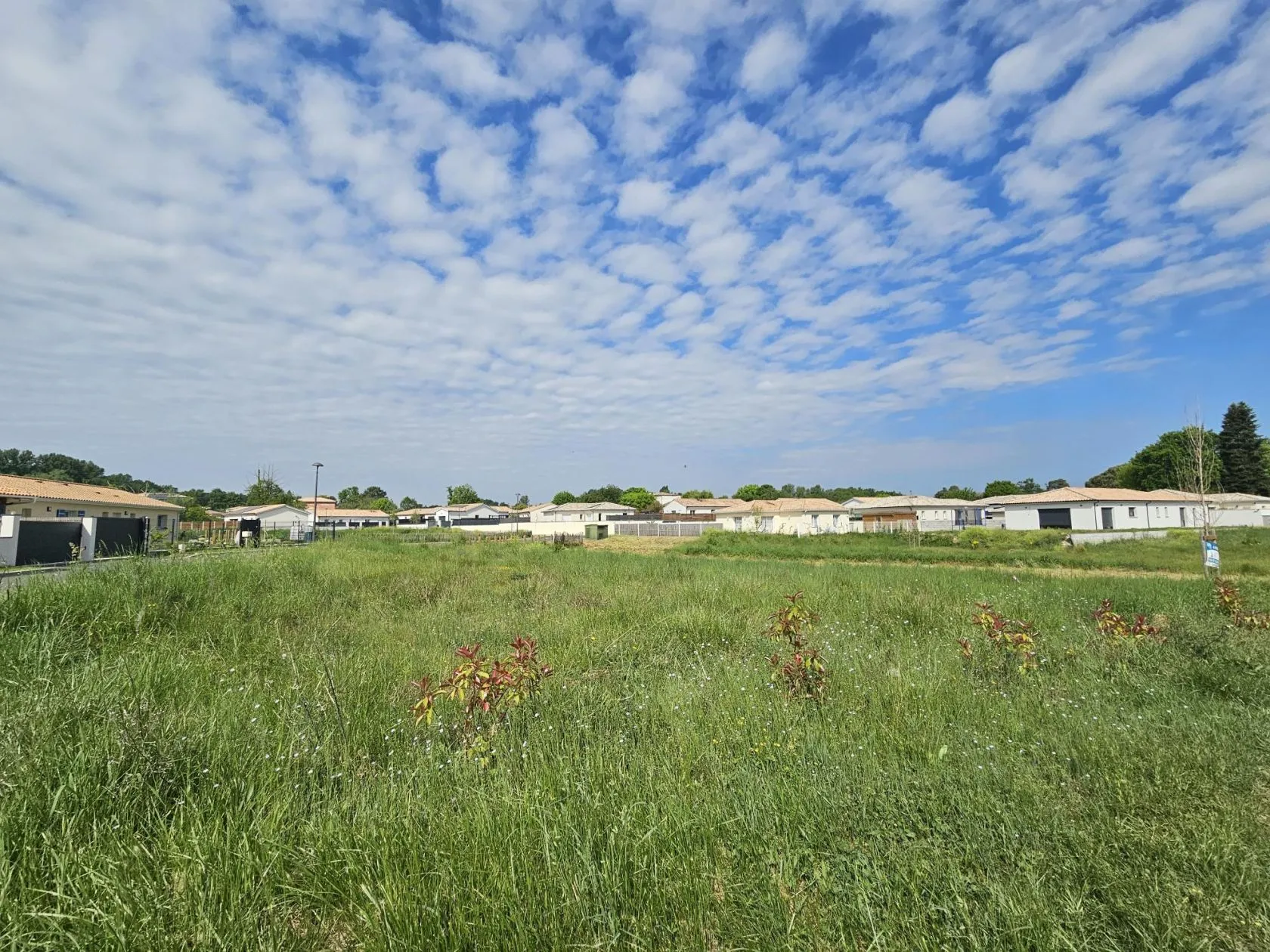 Maison neuve 90 m² à Podensac (33720)