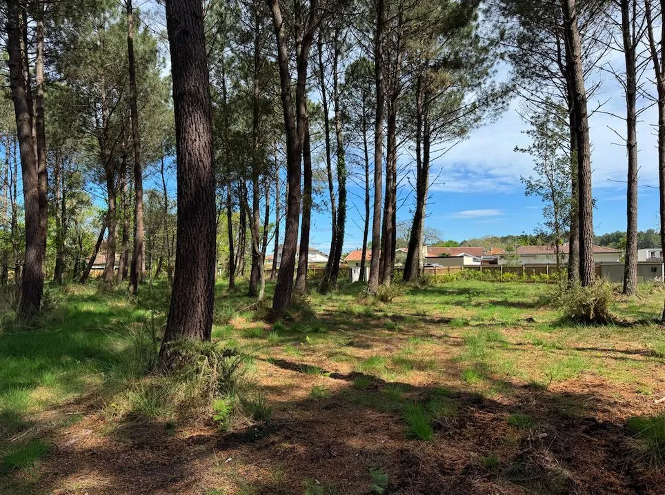 Maison neuve 140 m² à Seignosse (40510)