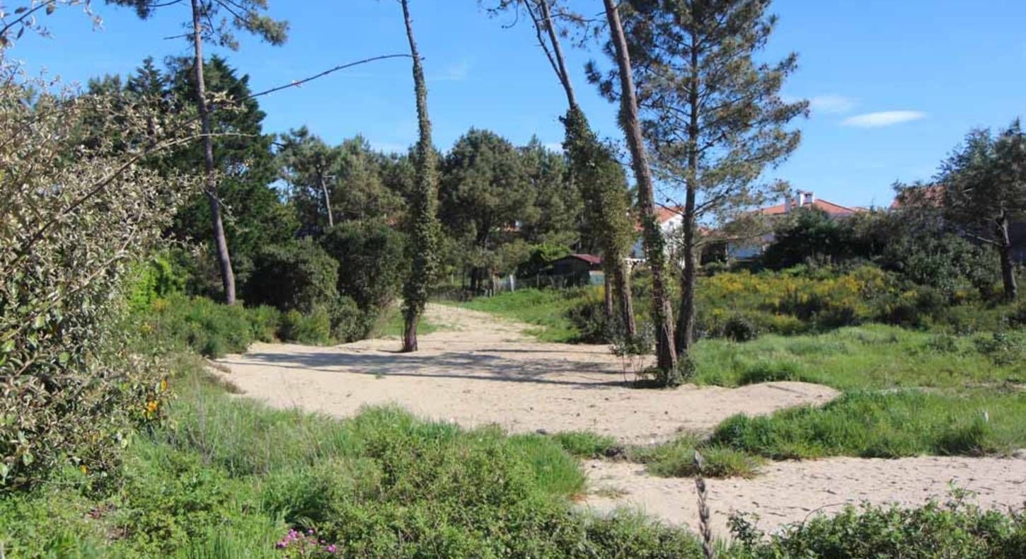 Maison neuve 90 m² à Artigues-près-Bordeaux (33370)