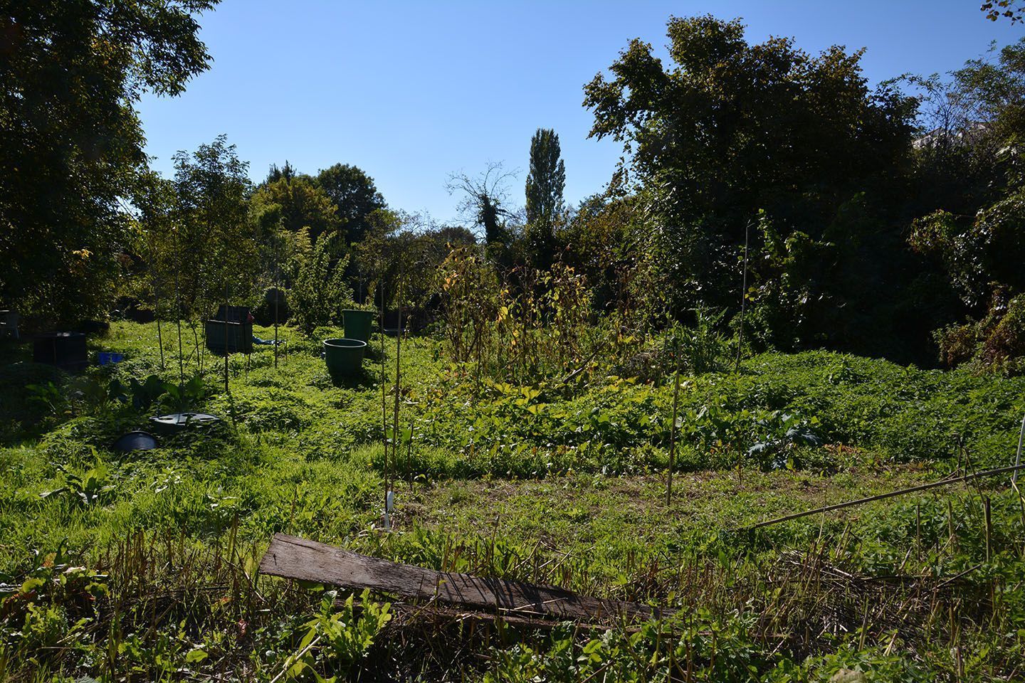 Terrain à bâtir 360 m² à Castelnau-de-Médoc (33480)