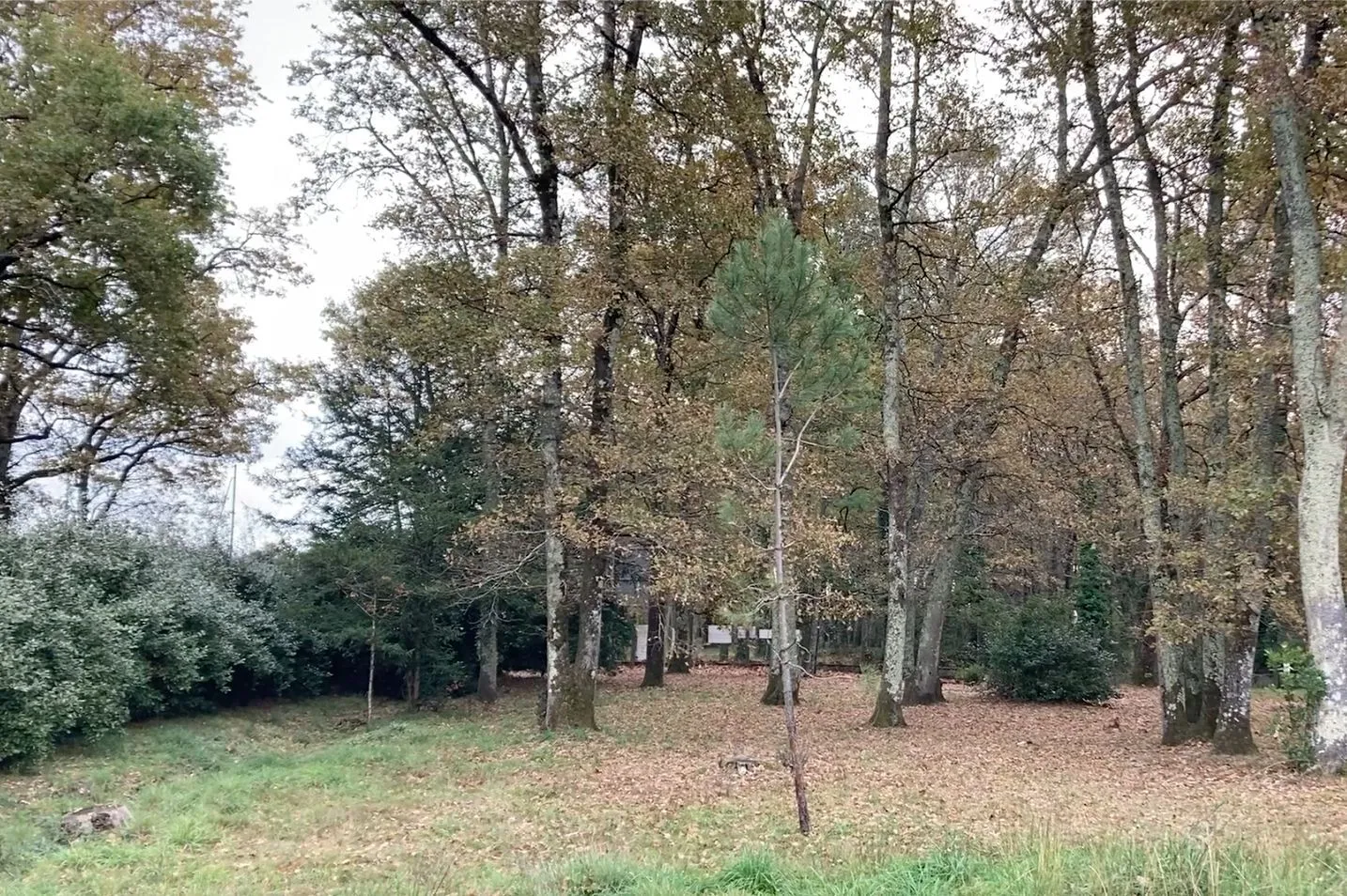 Terrain à bâtir 391 m² au Taillan-Médoc (33320)