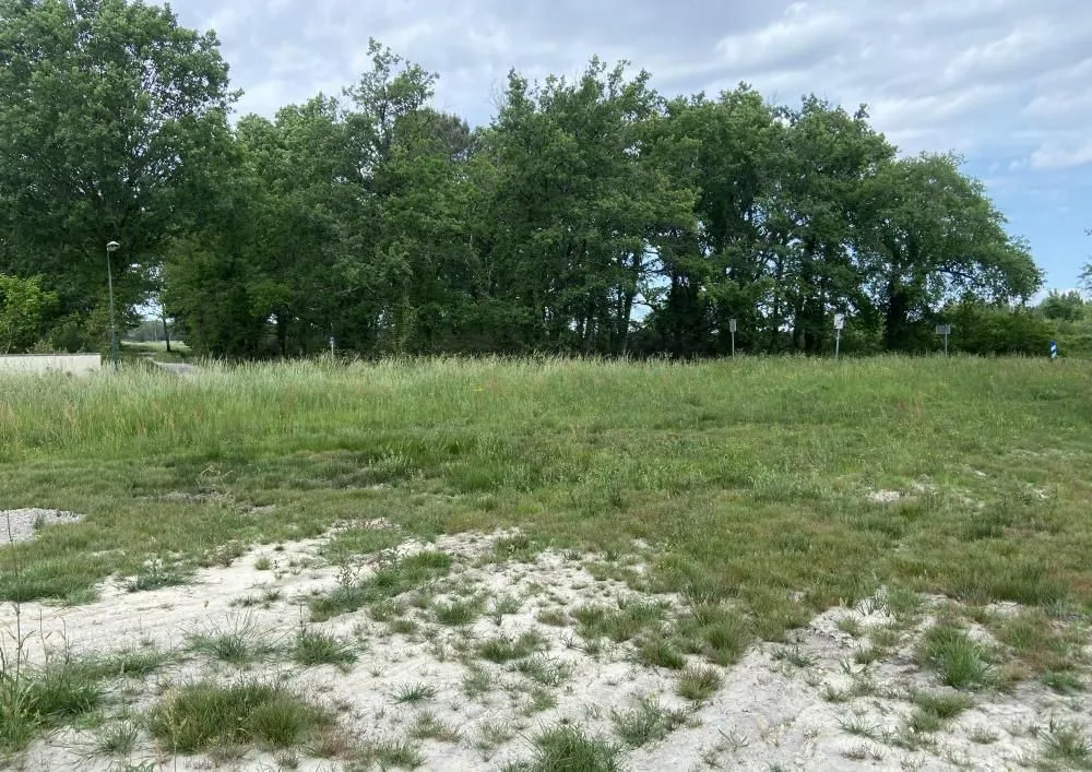 Terrain à bâtir 620 m² à Margaux (33460)