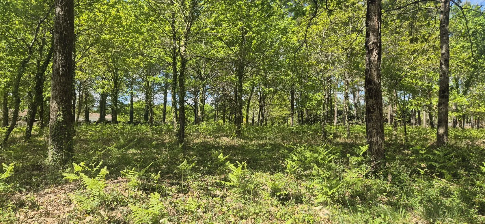 Terrain à bâtir 578 m² à Belin-Béliet (33830)