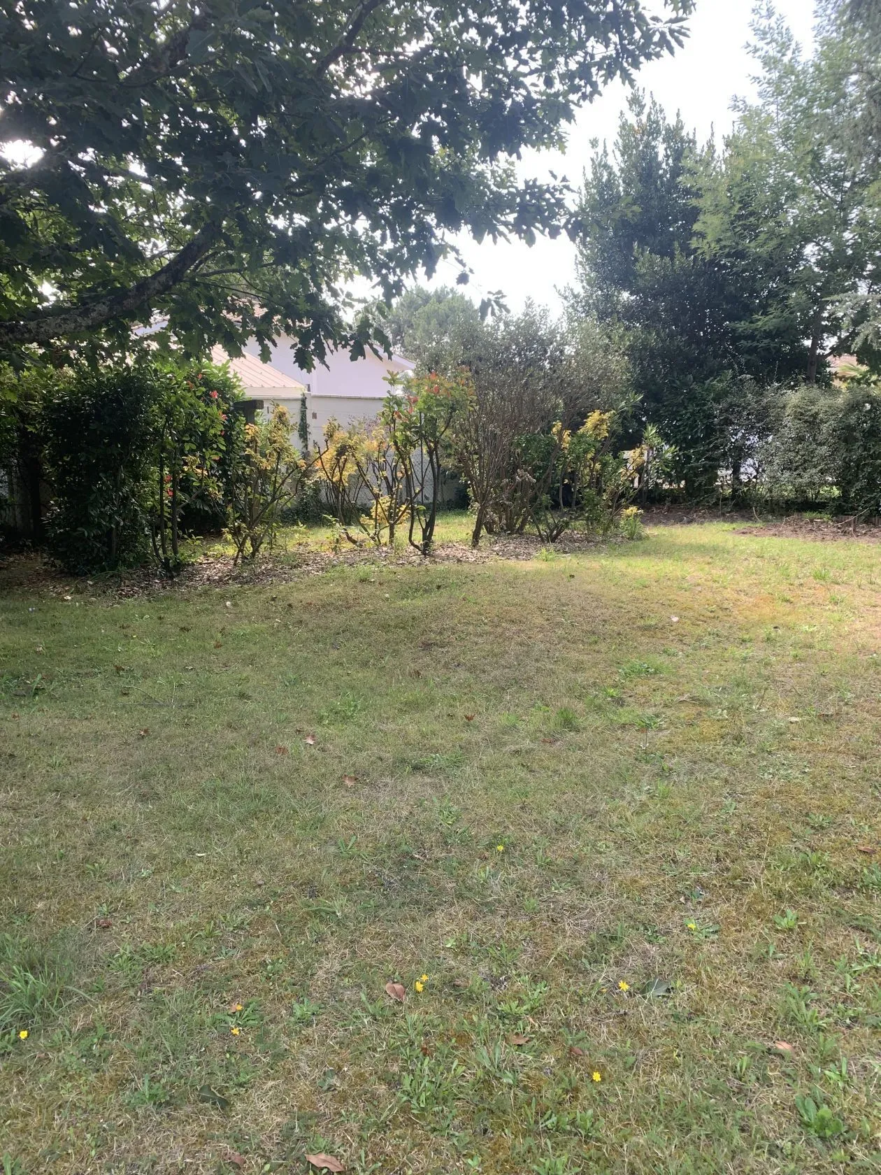 Maison neuve 80 m² à Gujan-Mestras (33470)