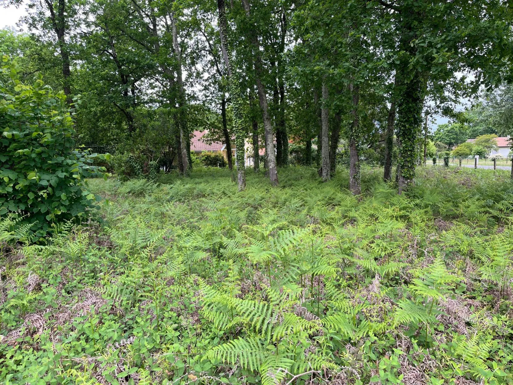 Terrain à bâtir 434 m² à Andernos-les-Bains (33510)