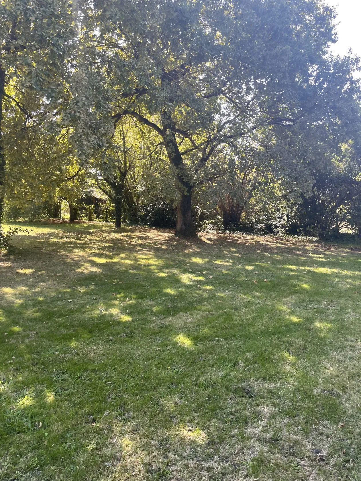 Maison neuve 80 m² à Biganos (33380)