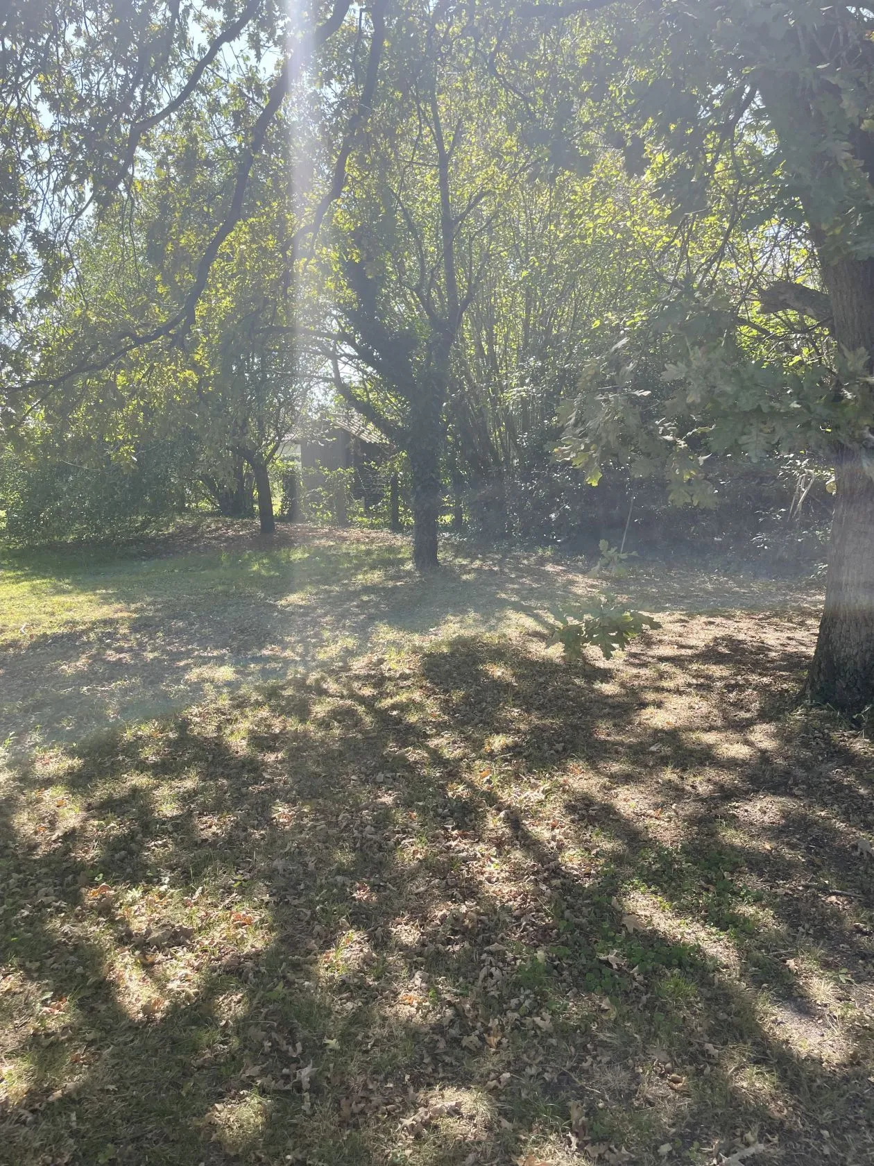 Maison neuve 90 m² à Biganos (33380)