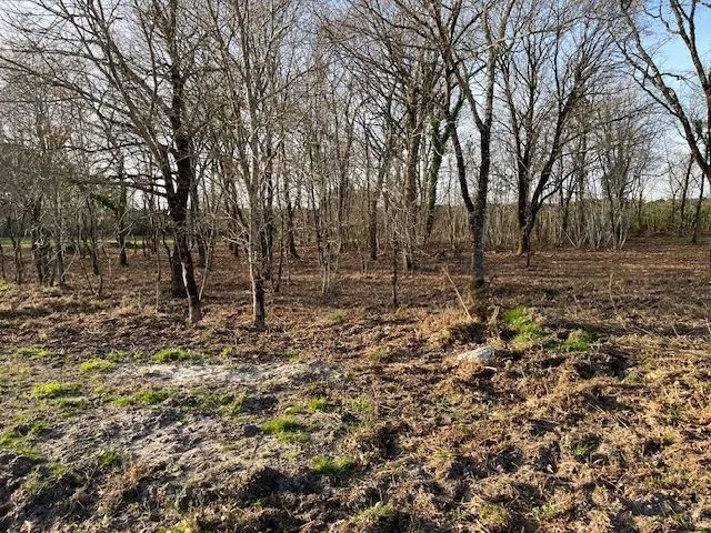 Terrain à bâtir 411 m² à Salles (33770)