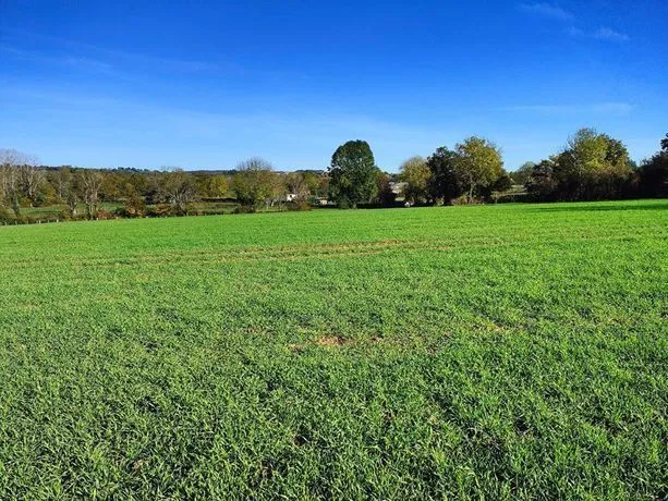 Maison neuve 105 m² à Nailloux (31560)