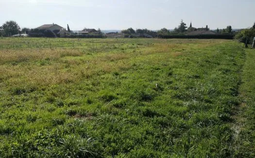 Maison neuve 100 m² à Seysses (31600)