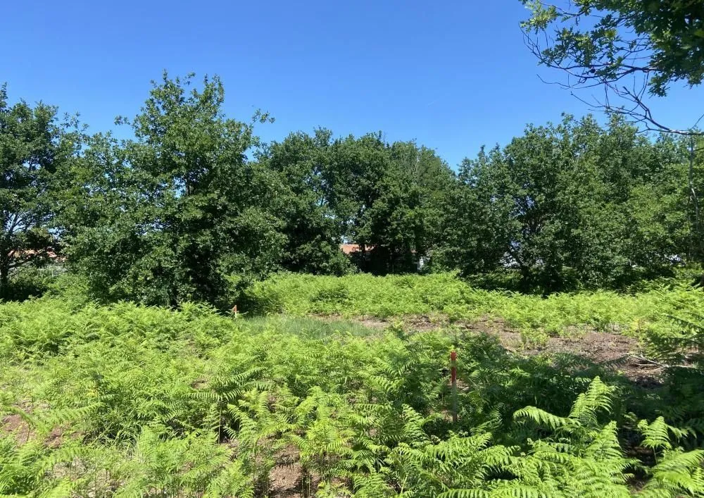 Terrain à bâtir 350 m² à Gastes (40160)