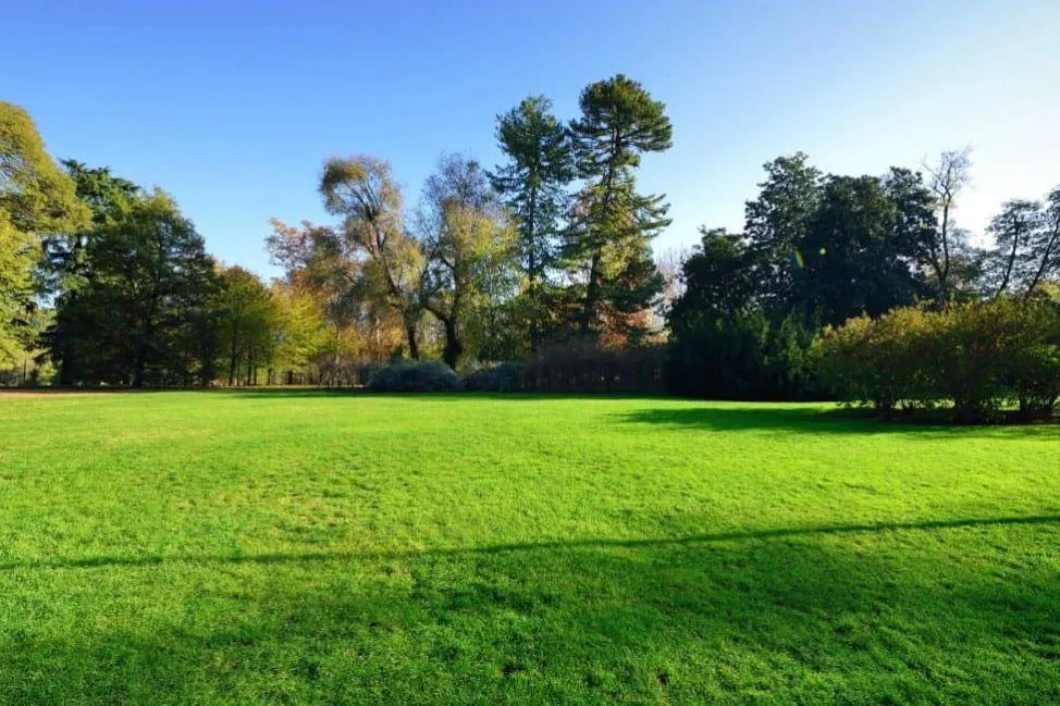 Terrain à bâtir 450 m² au Bouscat (33110)