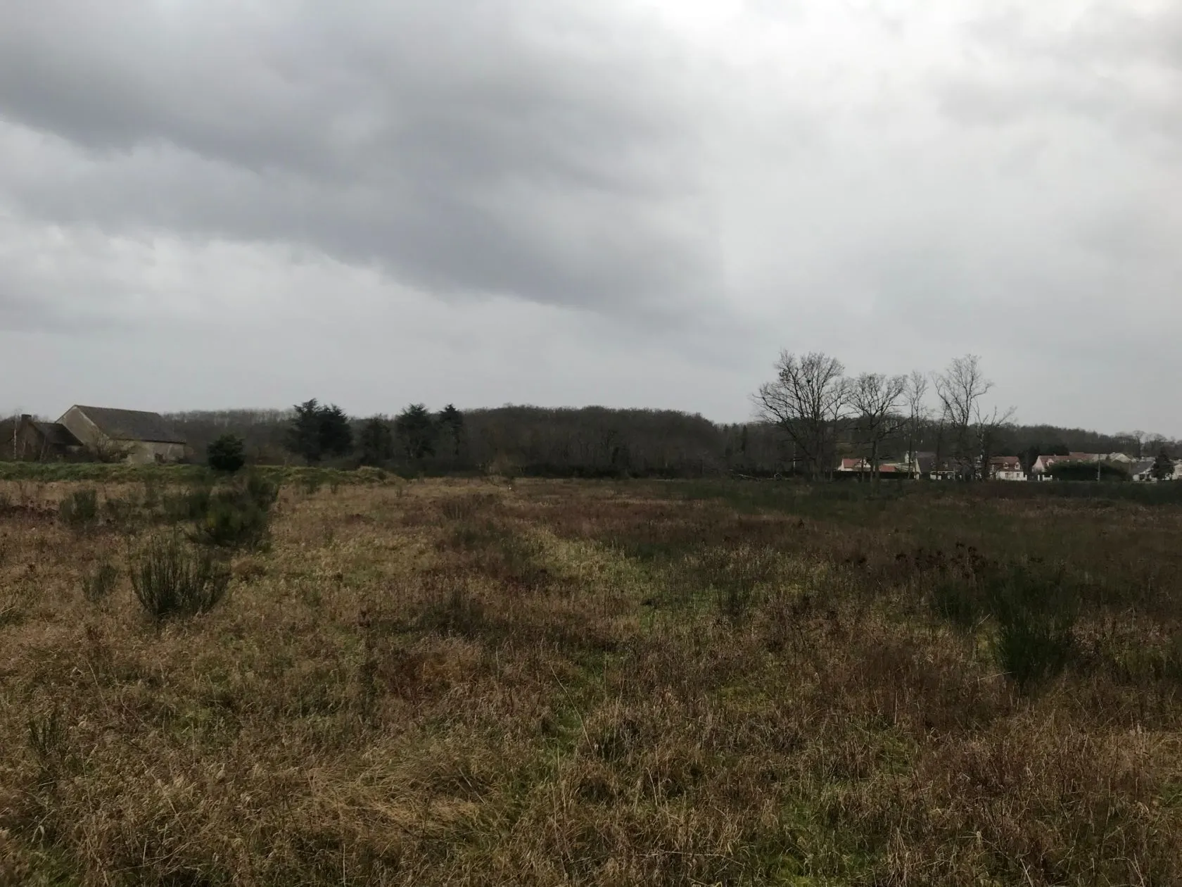 Maison neuve 100 m² à Vienne-en-Val (45510)