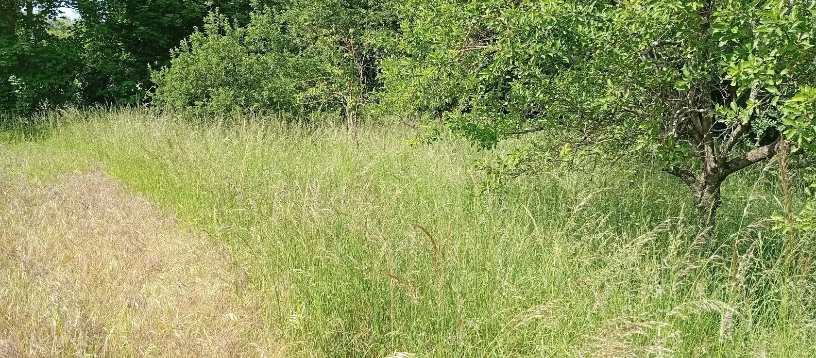 Terrain à bâtir 910 m² à Villeneuve-Saint-Germain (02200)