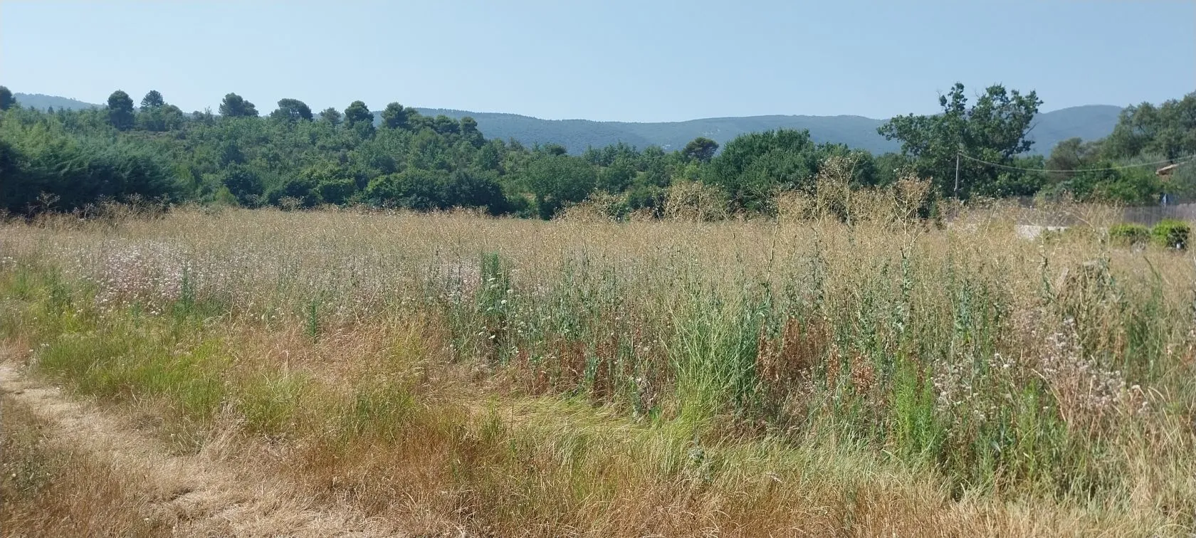 Terrain à bâtir à Cereste