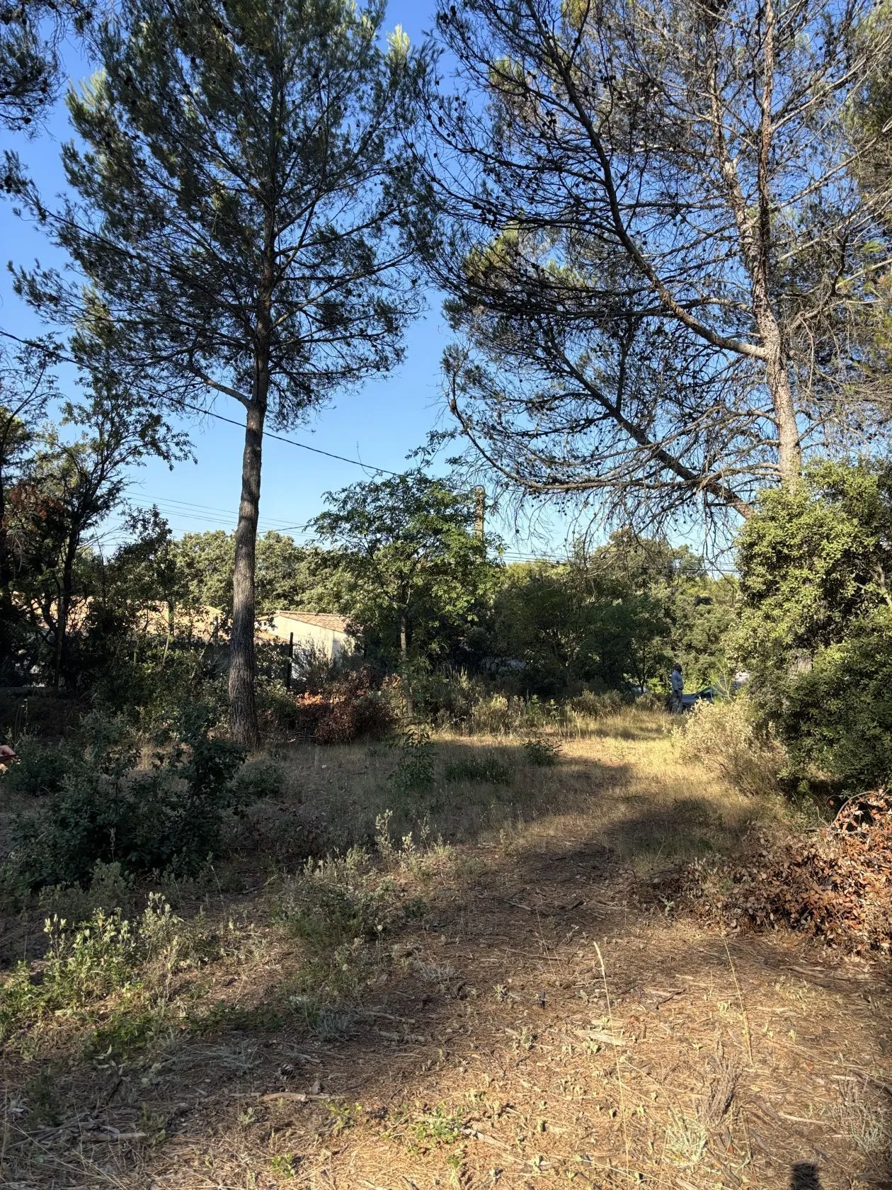 Maison neuve 105 m² à Lambesc (13410)
