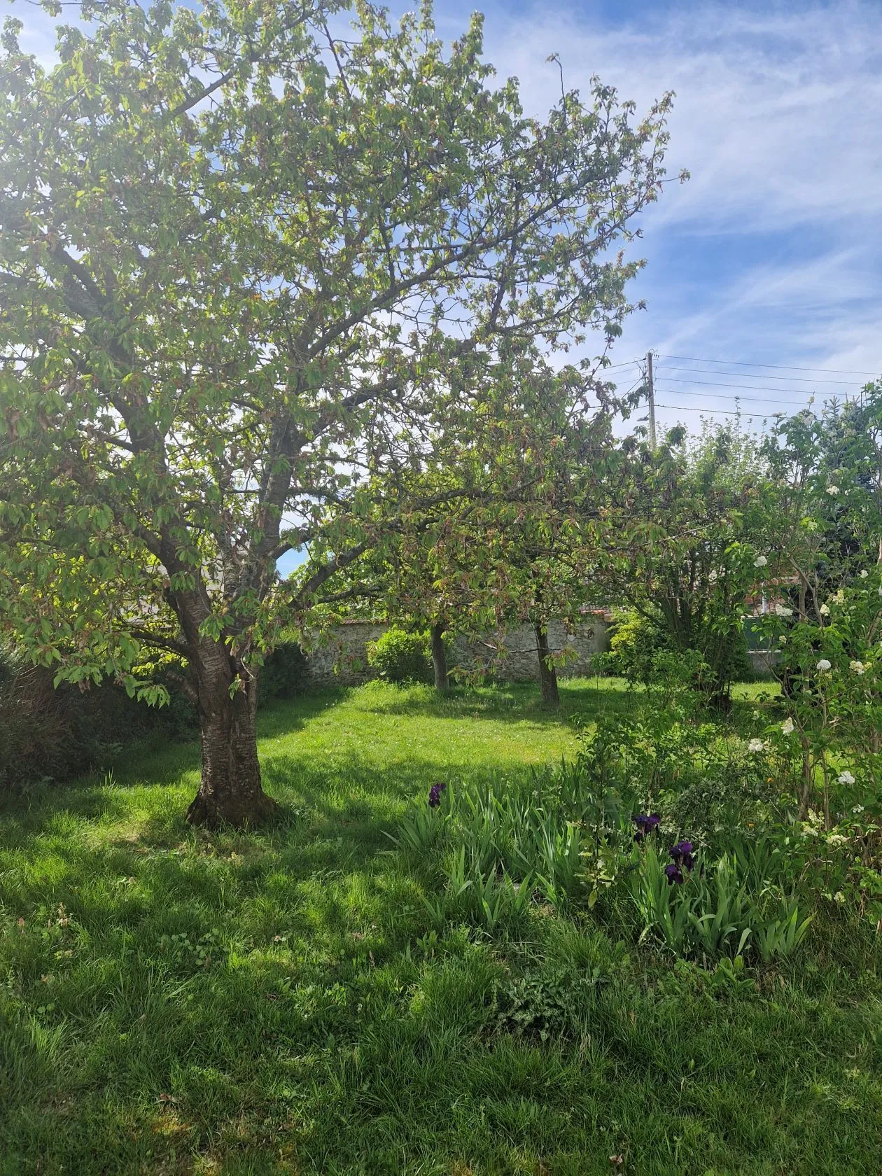 Terrain à bâtir 390 m² à Conflans-Sainte-Honorine (78700)