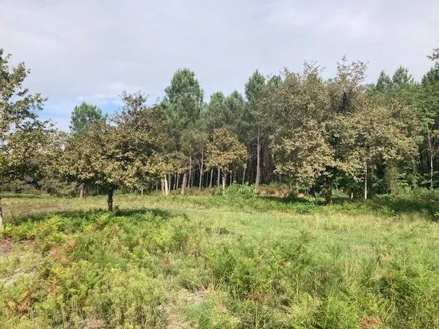 Terrain à bâtir à Saint-Martin-d'Oney