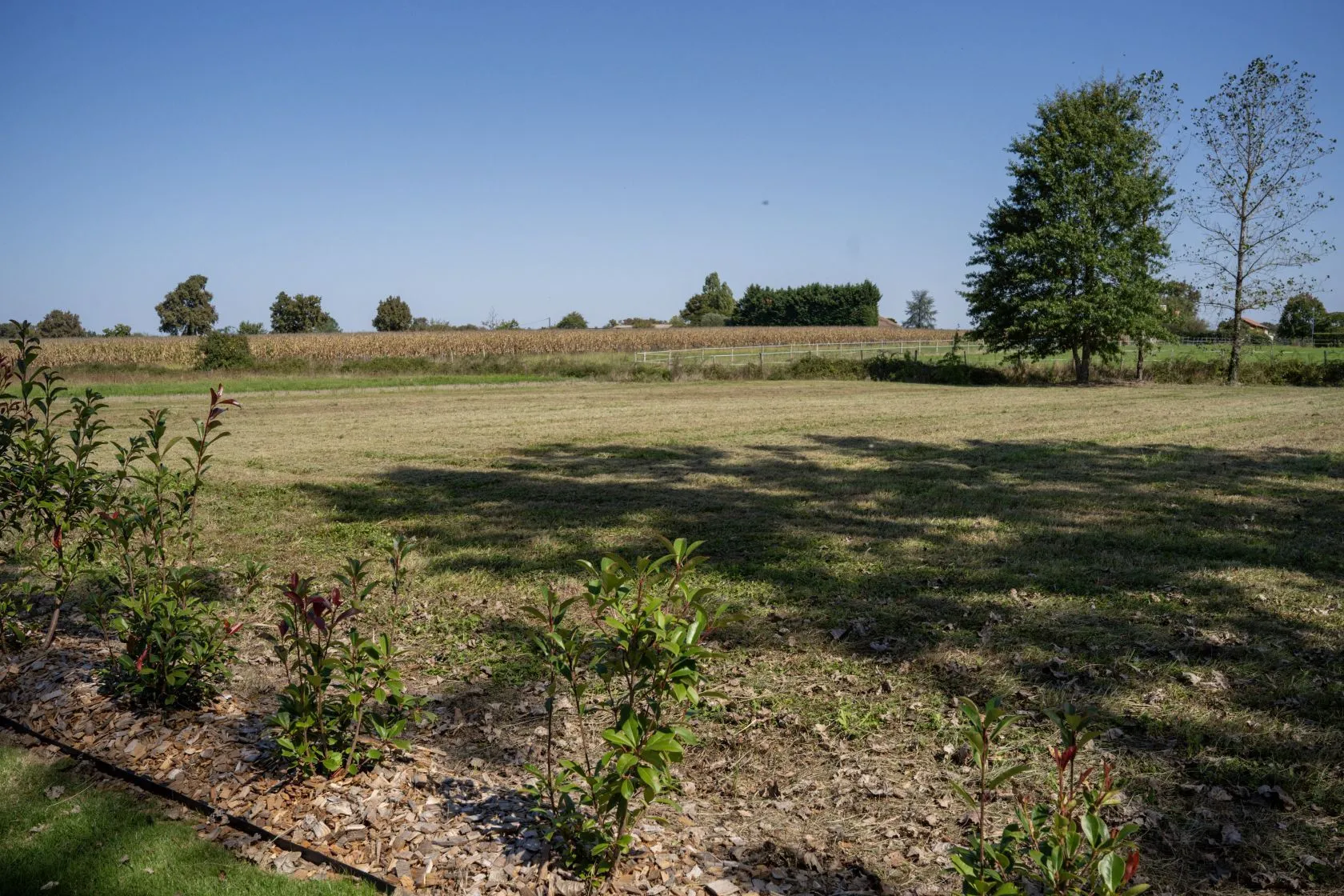 Terrain à bâtir 1500 m² à Latrille (40800)