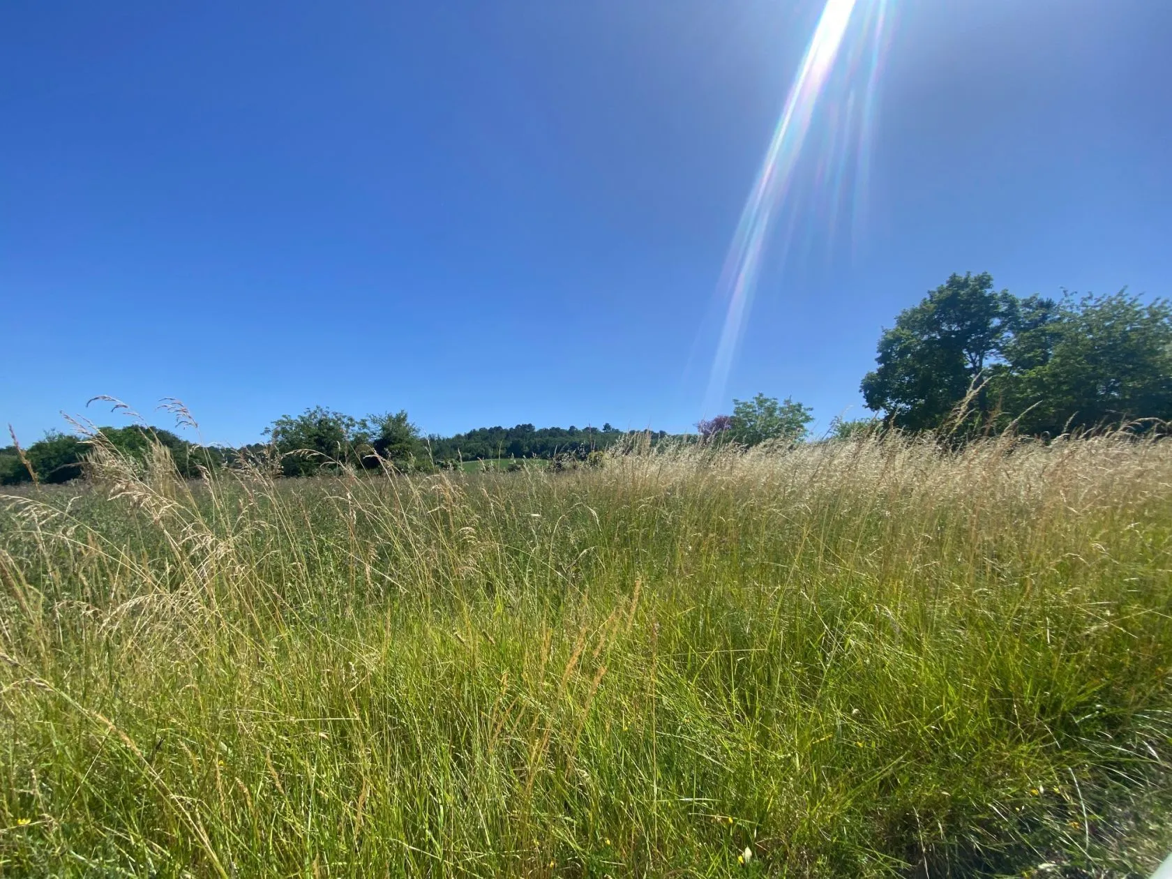 Maison neuve 94 m² à Léguillac-de-l'Auche (24110)