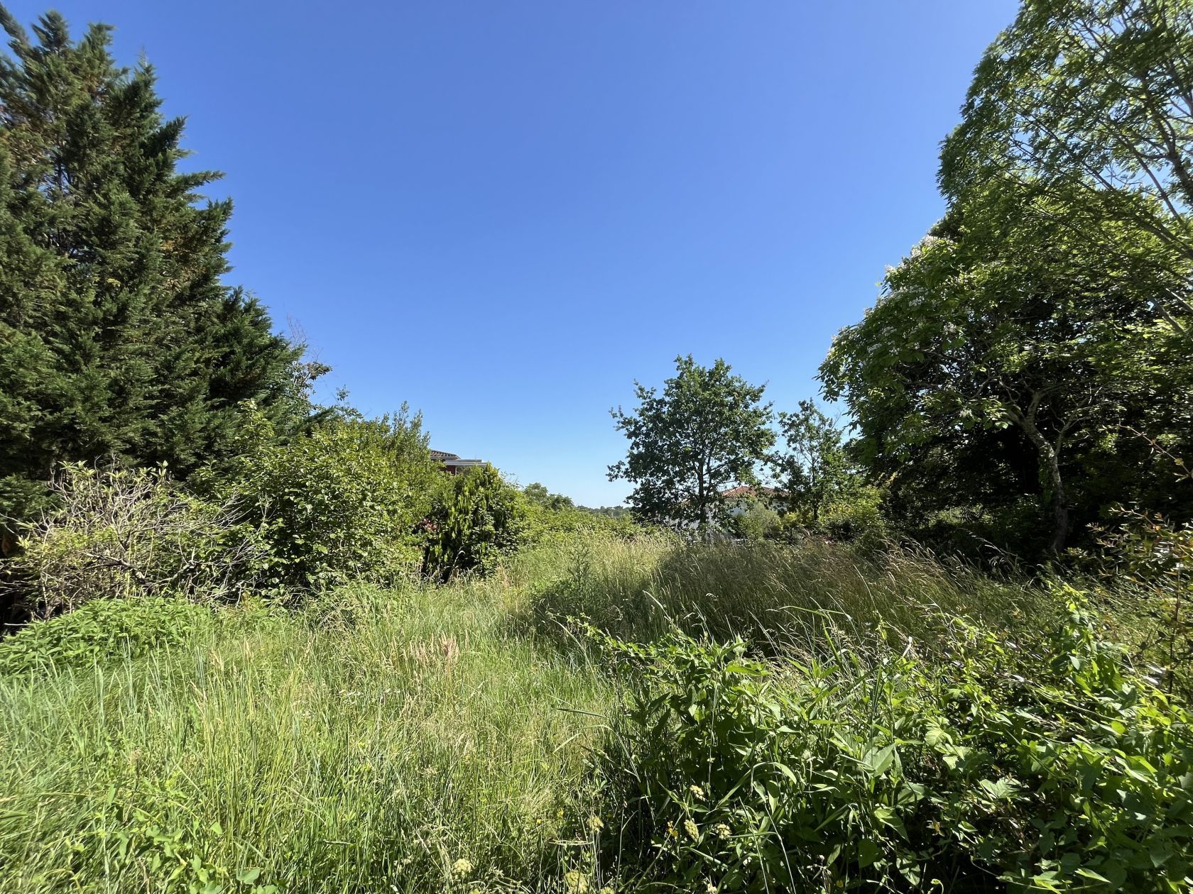 Maison neuve 75 m² à Artigues-près-Bordeaux (33370)