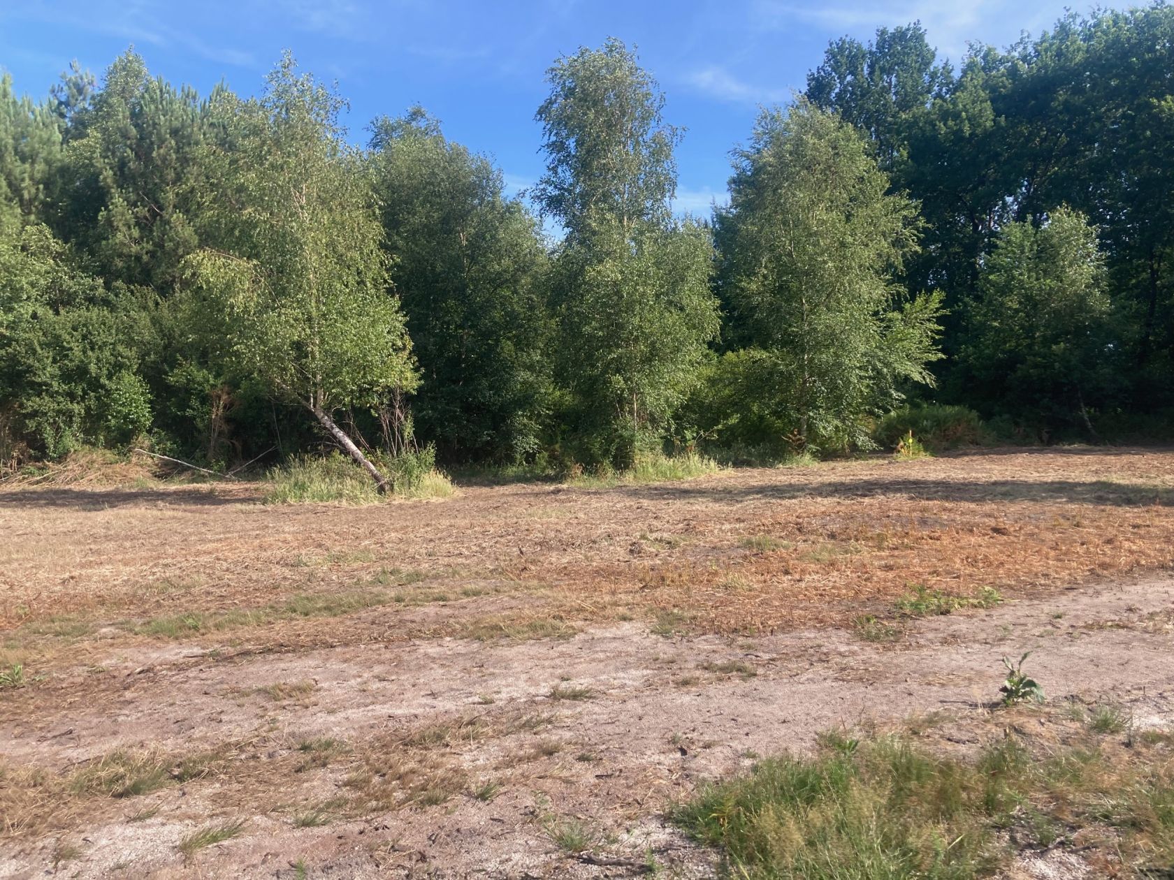 Terrain à bâtir 628 m² à Biscarrosse (40600)