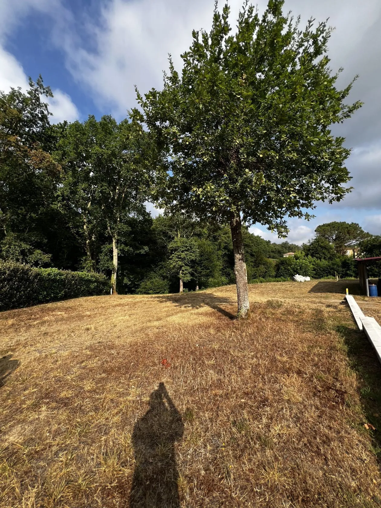 Terrain à bâtir 965 m² à Léognan (33850)