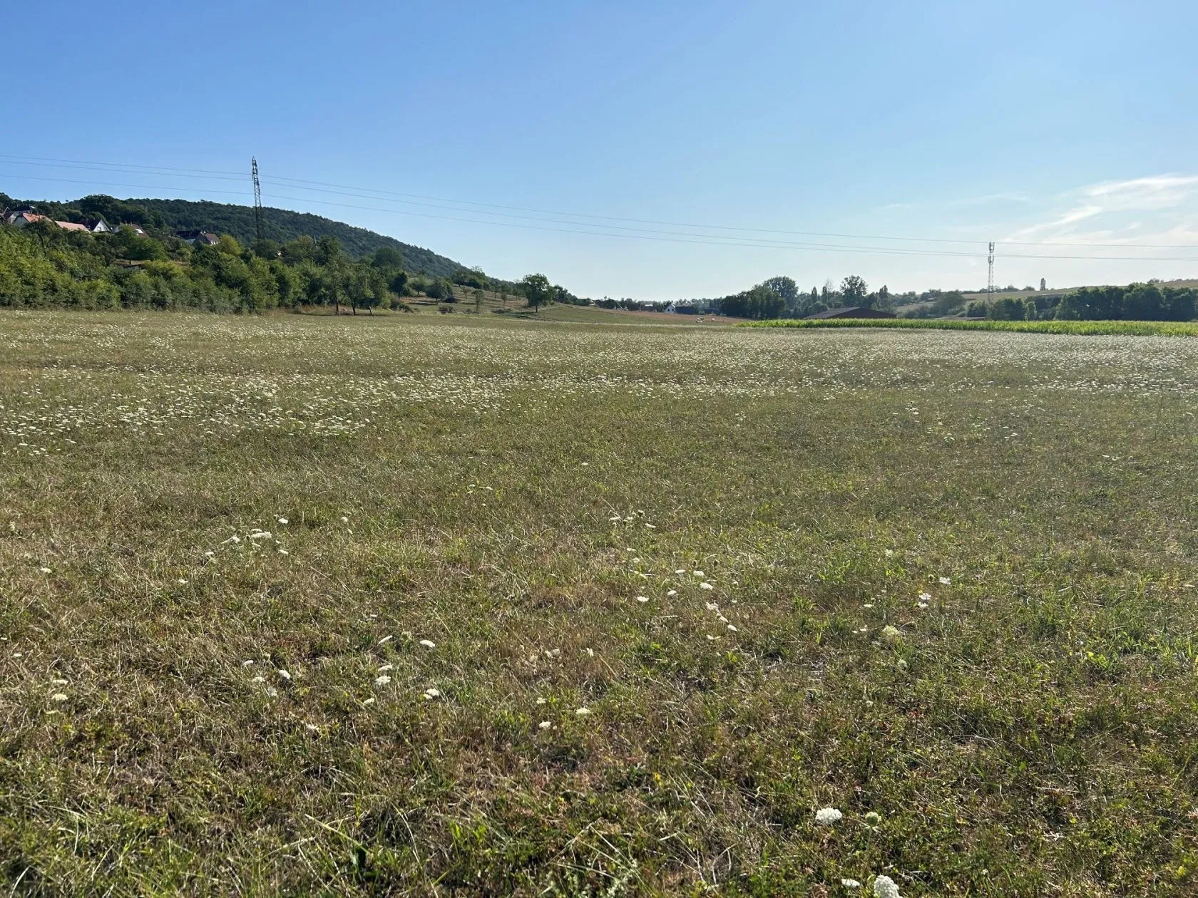 Maison neuve 81 m² à Rothbach (67340)