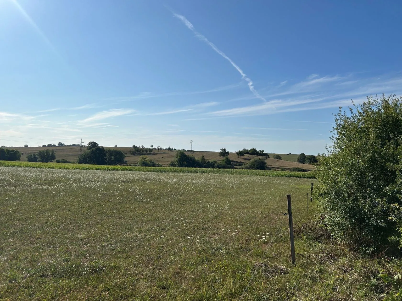 Maison neuve 81 m² à Rothbach (67340)