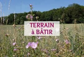 Terrain à bâtir 401 m² à Coulans-sur-Gée (72550)