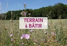 Terrain à bâtir 401 m² à Coulans-sur-Gée (72550)