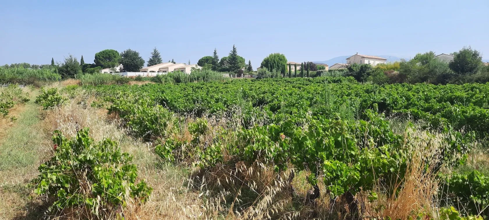 Terrain à bâtir à Mazan