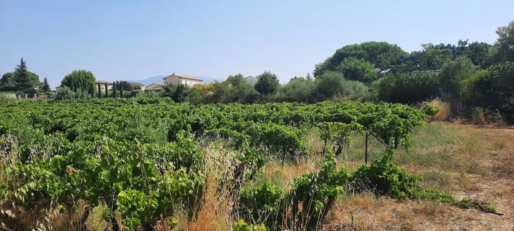 Terrain à bâtir 927 m² à Mazan (84380)