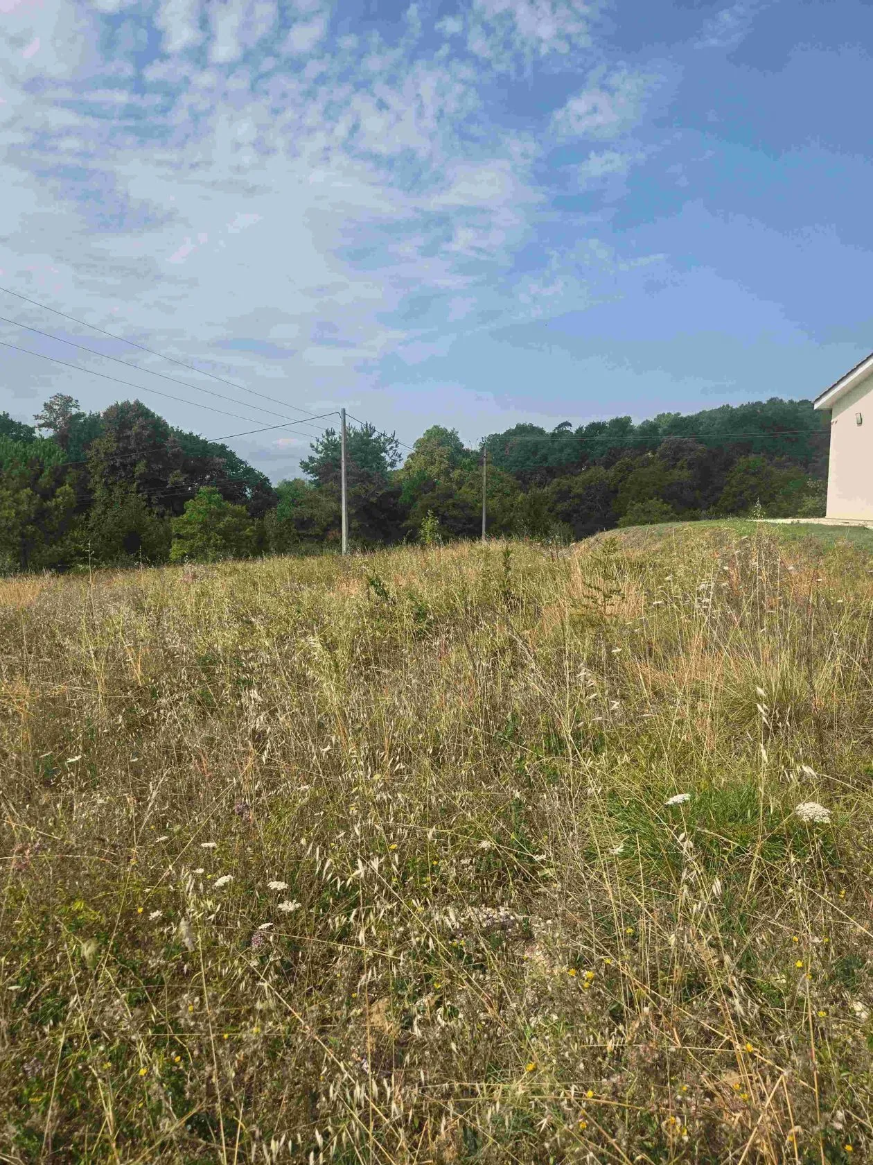 Maison neuve 70 m² à Casseuil (33190)
