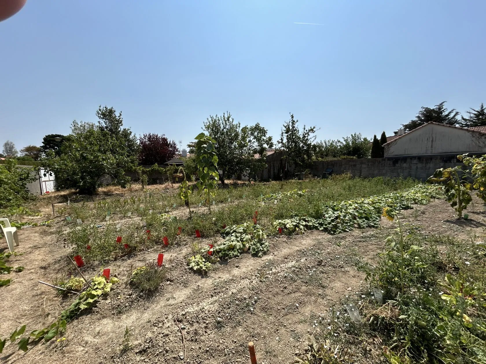 Maison neuve 92 m² à Sables-d'Olonne (85100)