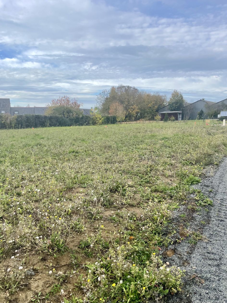 Terrain à bâtir 507 m² à Faveraye-Mâchelles (49380)