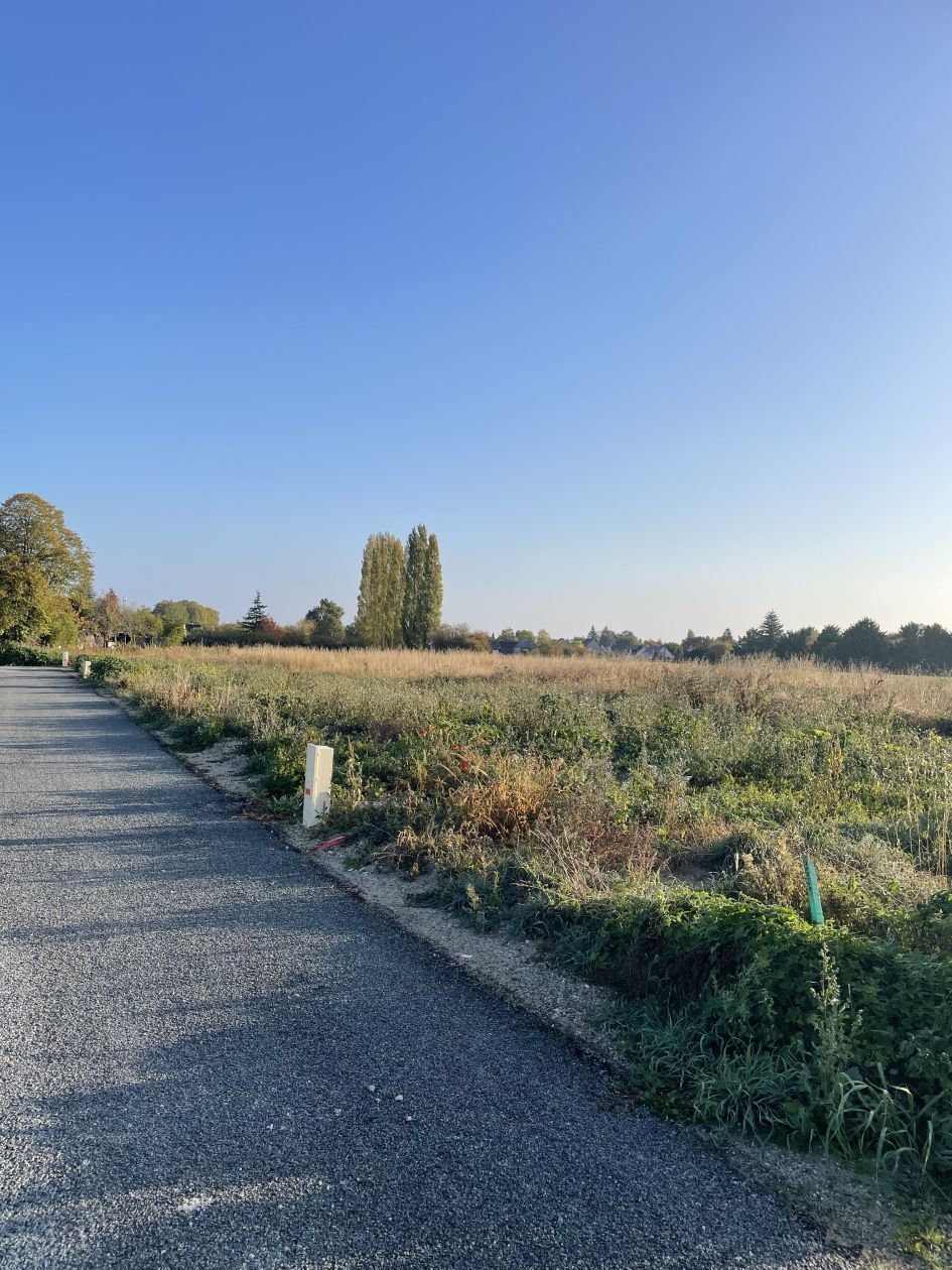 Terrain à bâtir 446 m² à Martigné-Briand (49540)