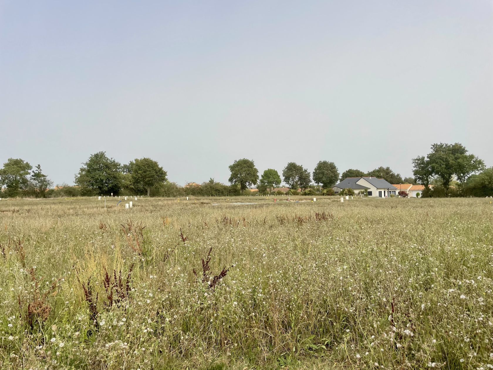 Terrain à bâtir 368 m² à Longué-Jumelles (49160)