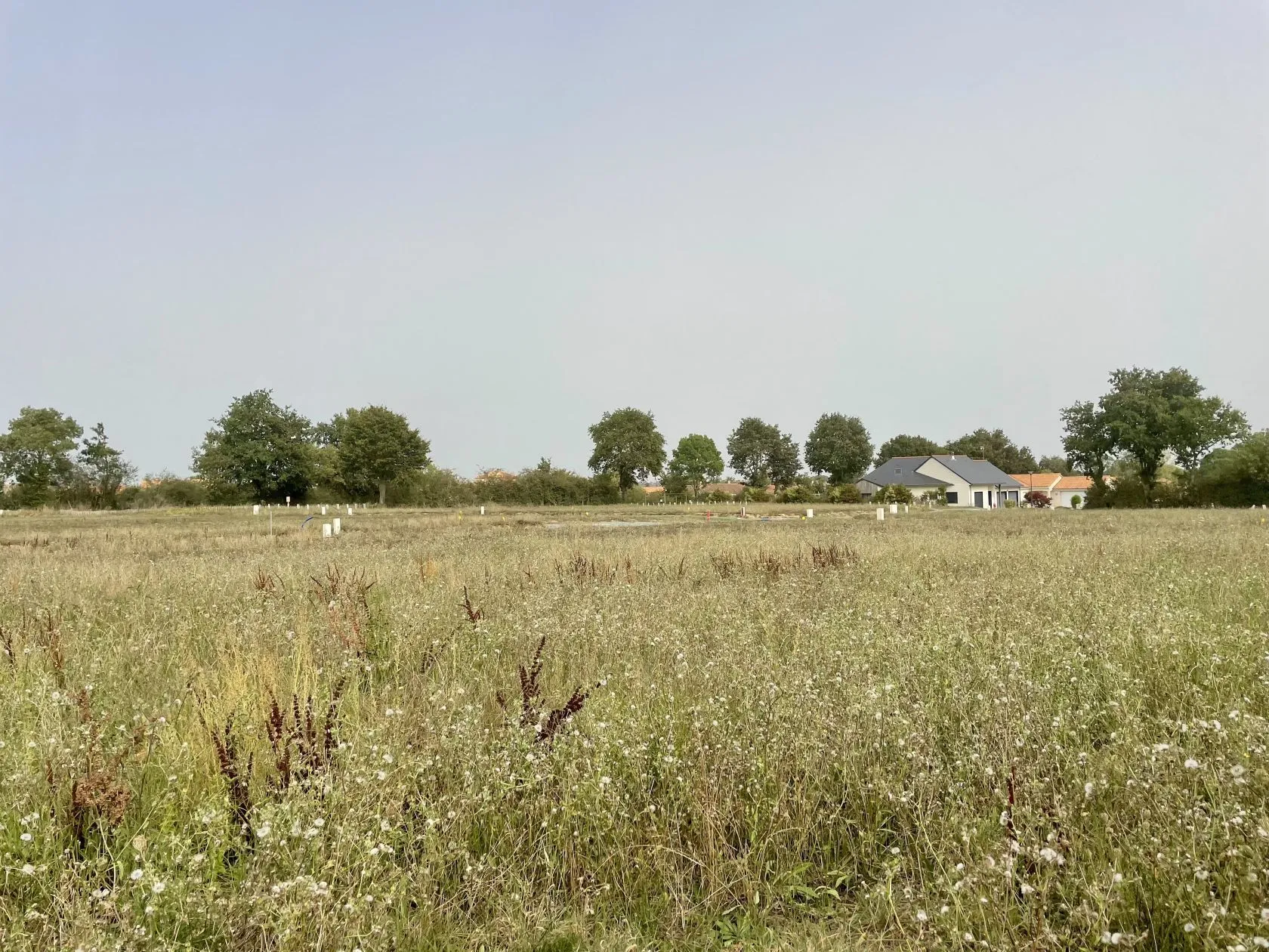 Terrain à bâtir 368 m² à Longué-Jumelles (49160)