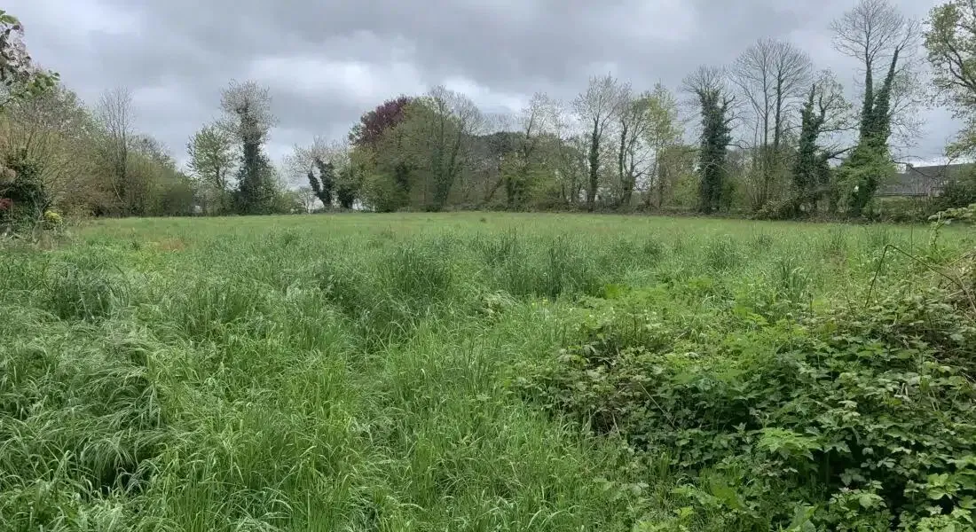 Maison neuve 103 m² à Pluvigner (56330)