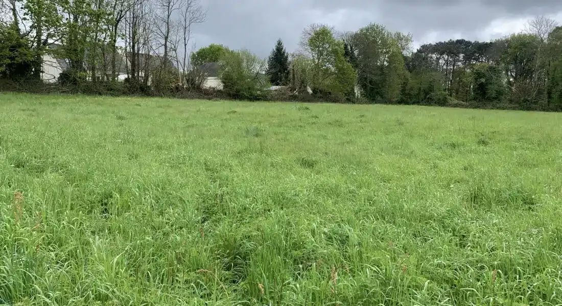Maison neuve 103 m² à Pluvigner (56330)