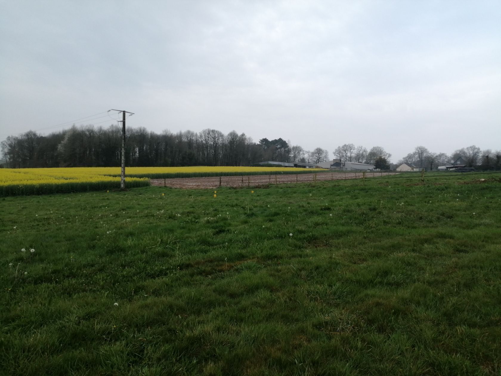 Maison neuve 110 m² à Saint-Guyomard (56460)