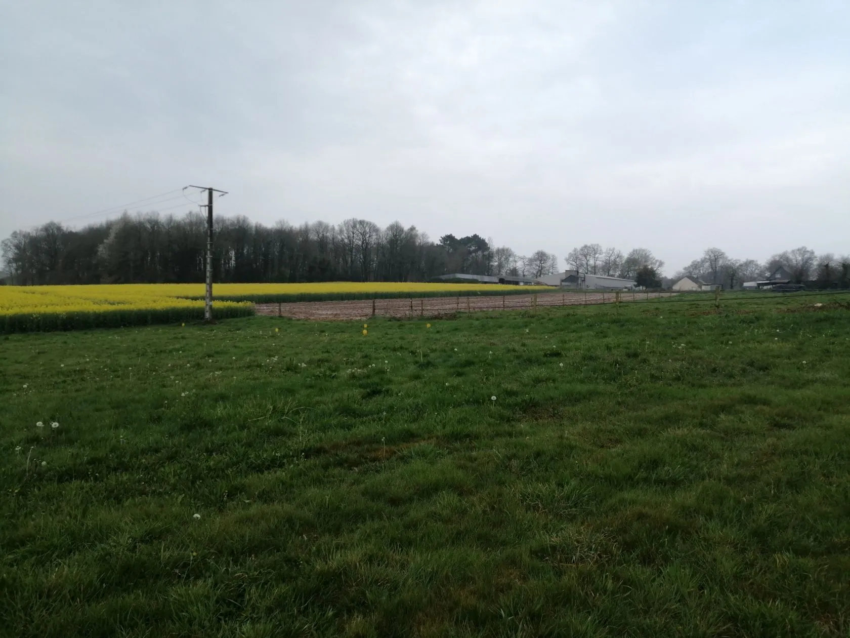 Maison neuve 96 m² à Saint-Guyomard (56460)