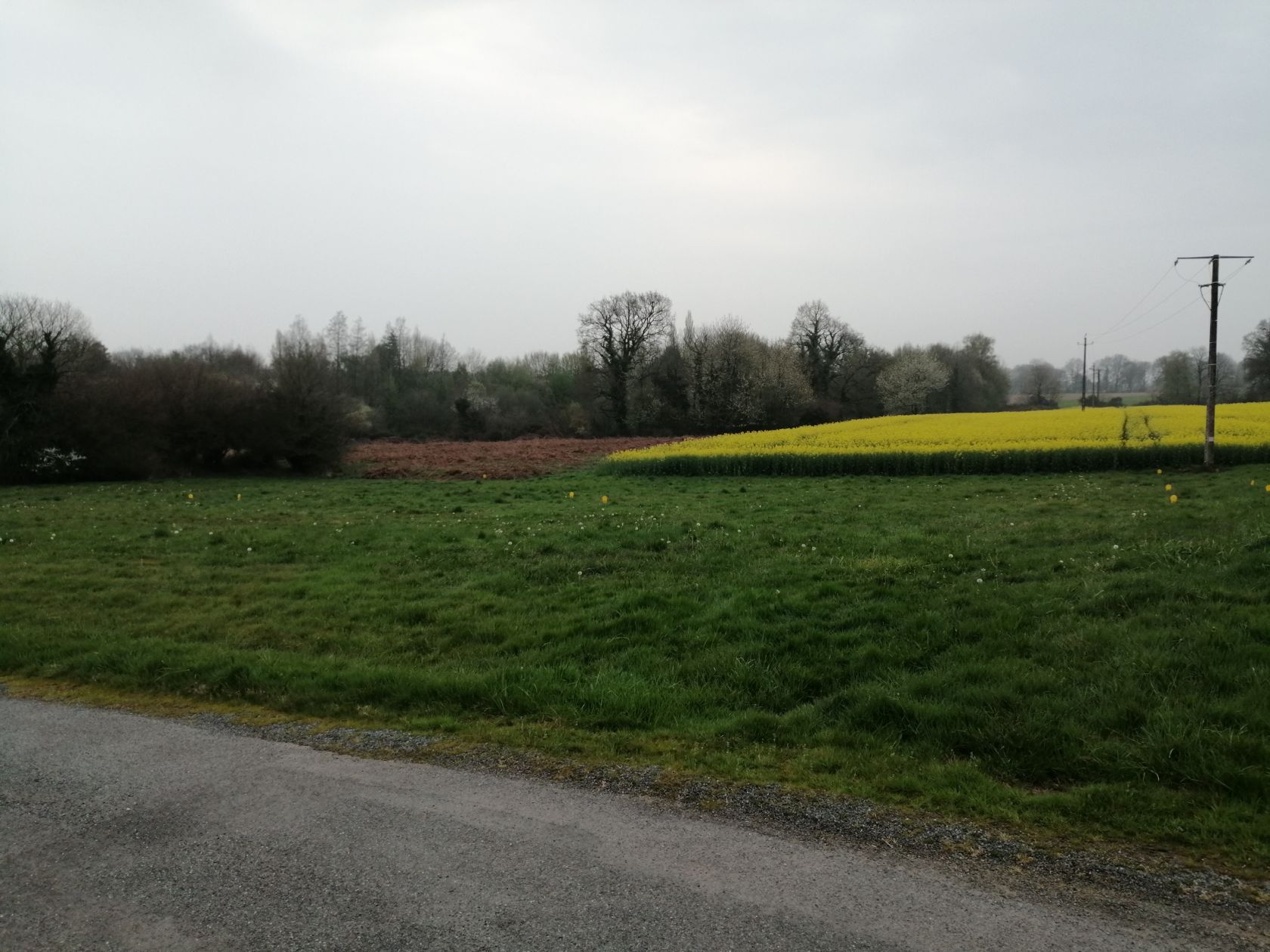 Maison neuve 110 m² à Saint-Guyomard (56460)