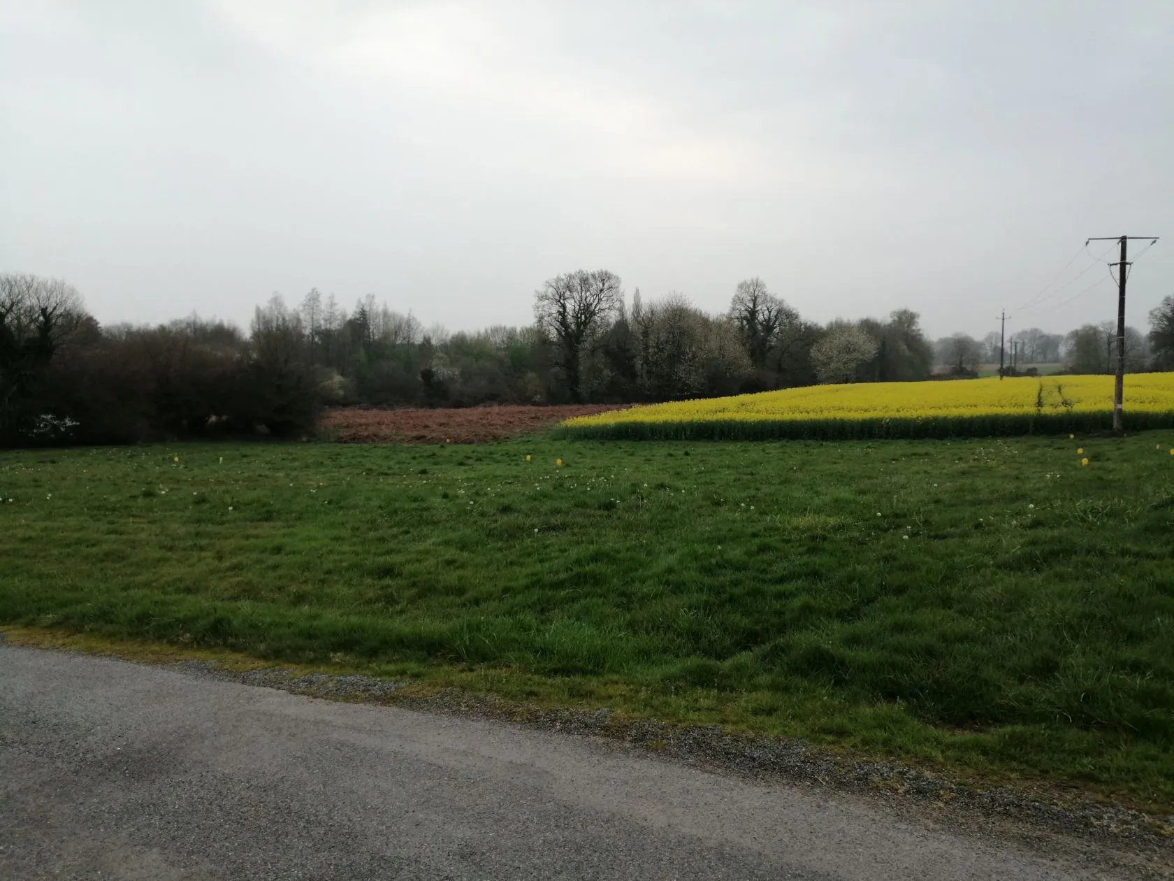 Maison neuve 96 m² à Saint-Guyomard (56460)