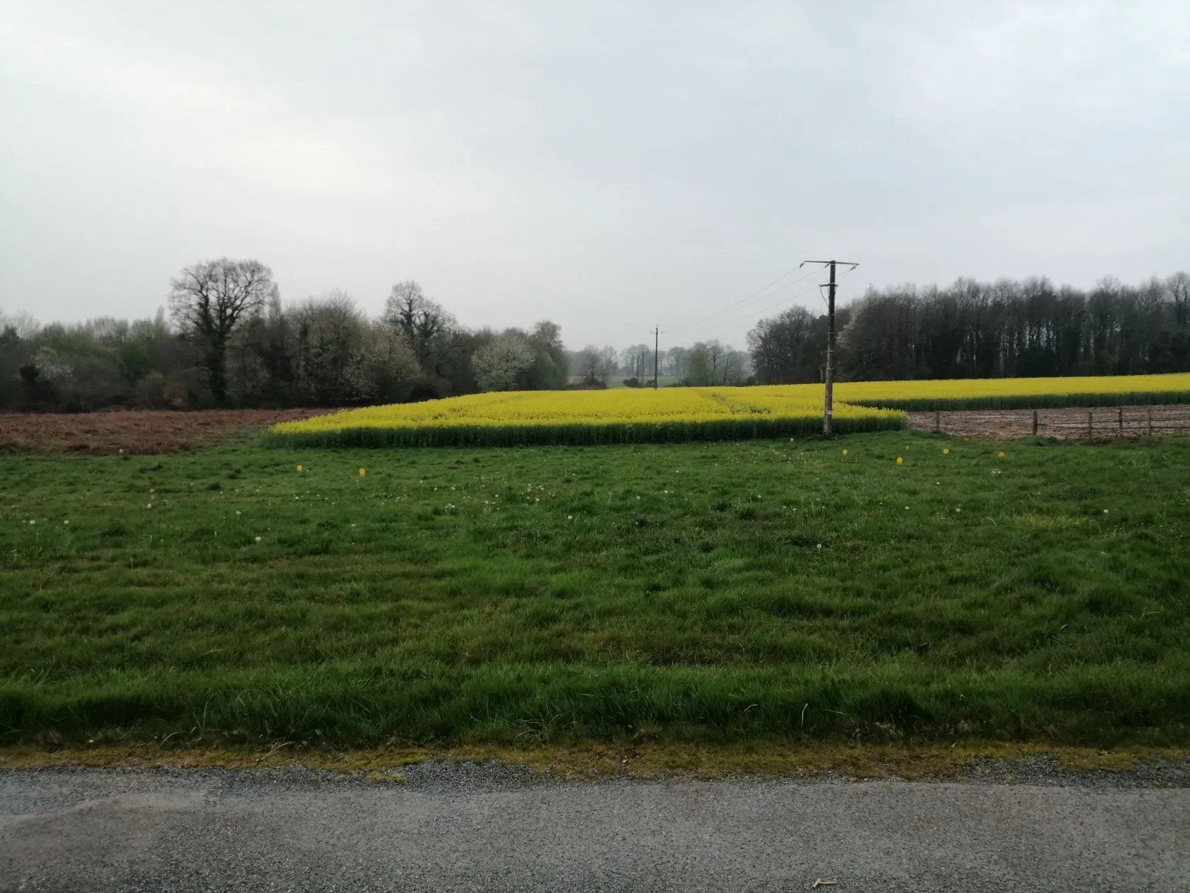 Maison neuve 96 m² à Saint-Guyomard (56460)